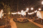 Covered Wagons Group Rental