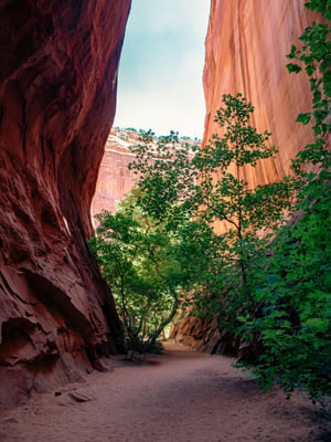Escalante Adventure Guide