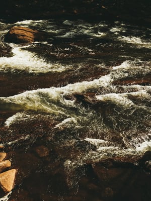 Ocoee Adventure Guide