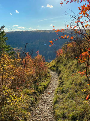 Eastern Smokies Adventure Guide