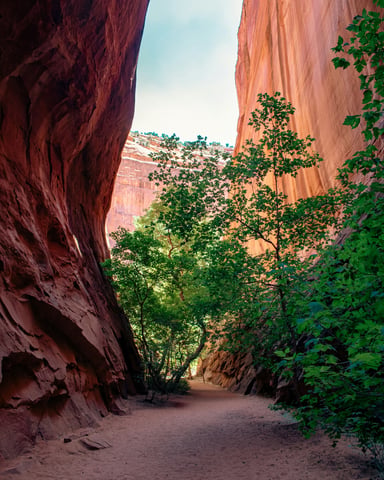 Towering red sandstone walls of a slot canyon in Escalante, Utah