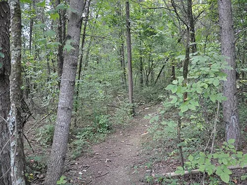 Clemmer Trailhead South