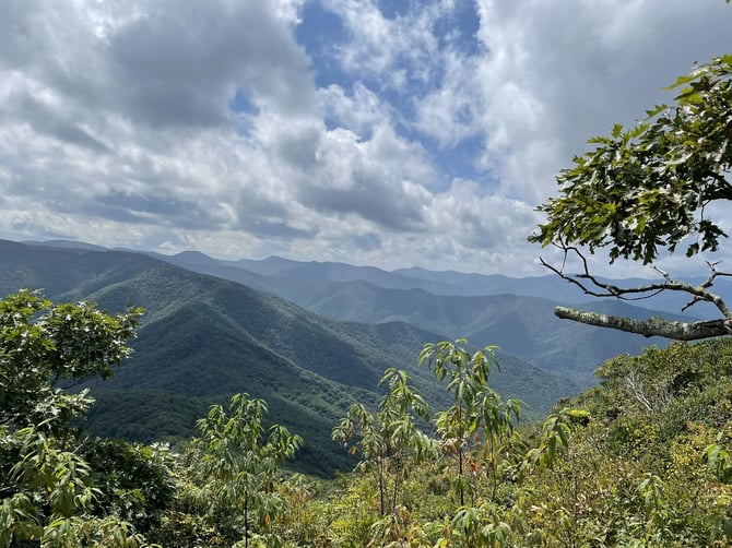 Art Loeb/Cold Mountain Trailhead