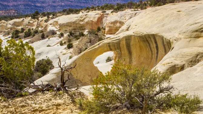 Cedar Wash Arch