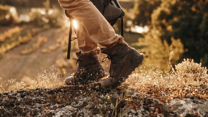 Top 6 Hiking Trails In South Cumberland State Park