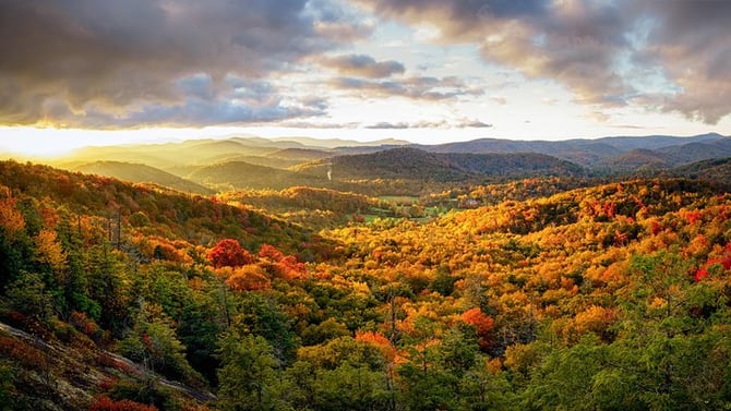 Private Boutique Blue Ridge Parkway Full Day Tour