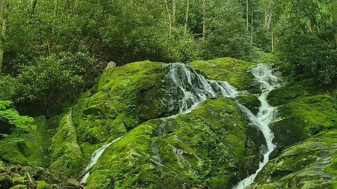Little Bird Falls