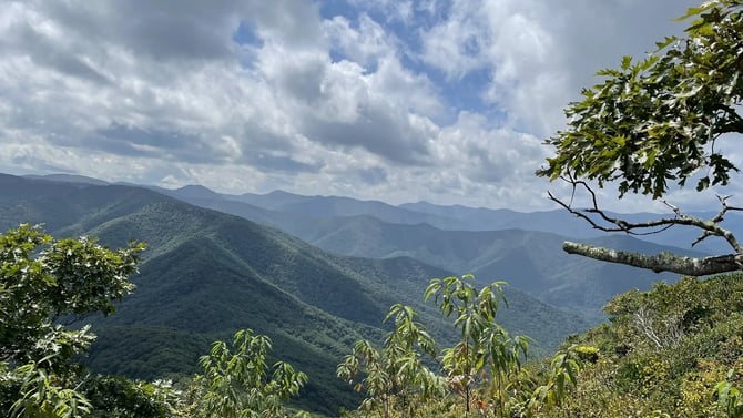 Art Loeb/Cold Mountain Trailhead