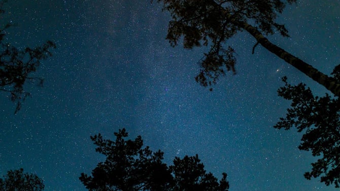 Starry Nights: A Guide To Stargazing In Savage Gulf