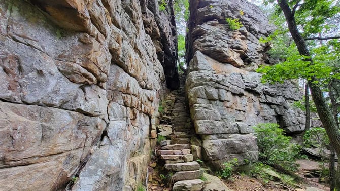 Savage Gulf Natural Area