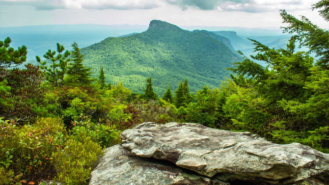 Pisgah National Forest