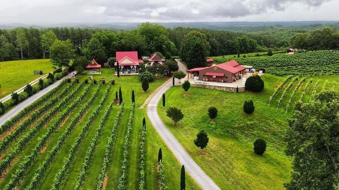 Overmountain Vineyards