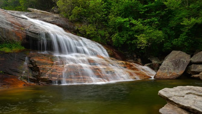 Graveyard Fields Loop Trail
