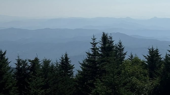 Mount Mitchell Summit Trail