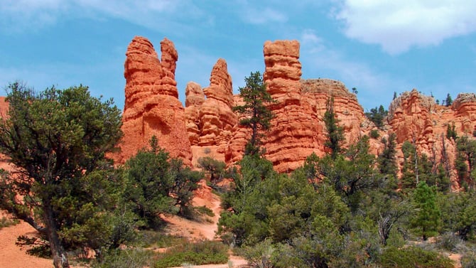 Red Canyon