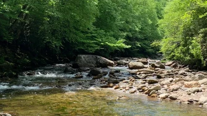 Pigeon And Little East Fork Rivers