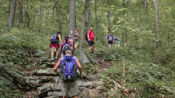 Best Short Hikes In Savage Gulf That Still Deliver Big Views