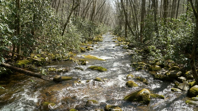 Near Hiking Trails