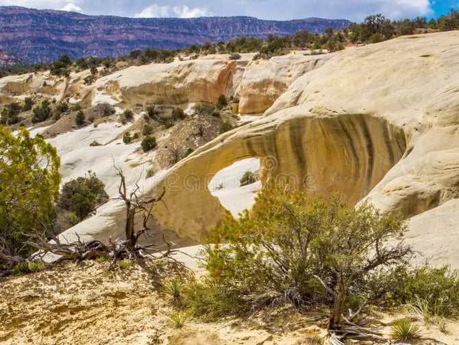Cedar Wash Arch