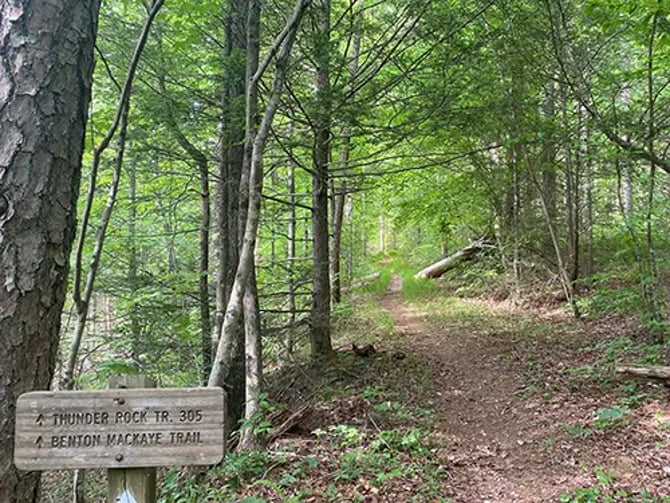 Thunder Rock Trail