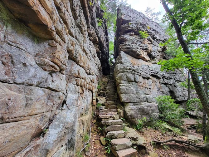 Hiking & Backpacking