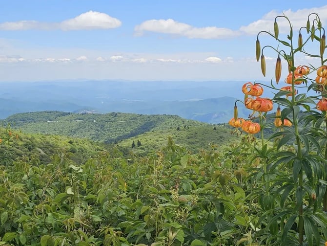 Black Balsam Knob Via Art Loeb Trail