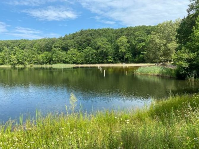 McKamy Lake Trail And Forest Walk Loop