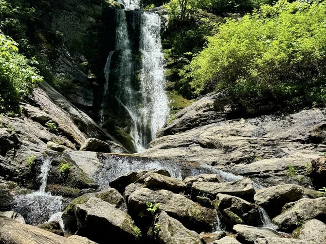 Toms Creek Falls Trail