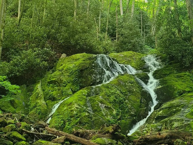 Little Bird Falls
