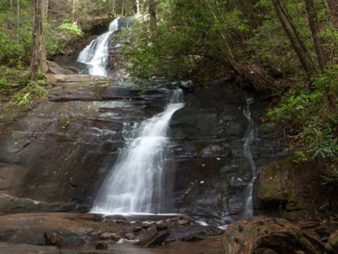 Fall Branch Falls