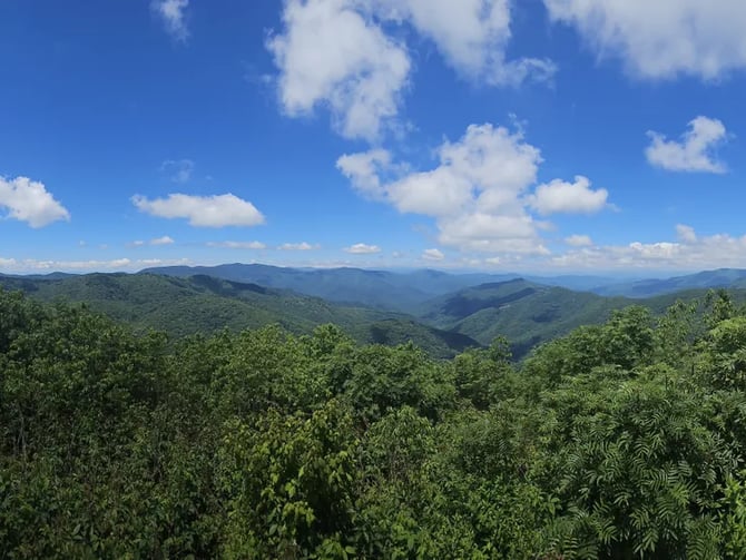 Sam Knob Trail