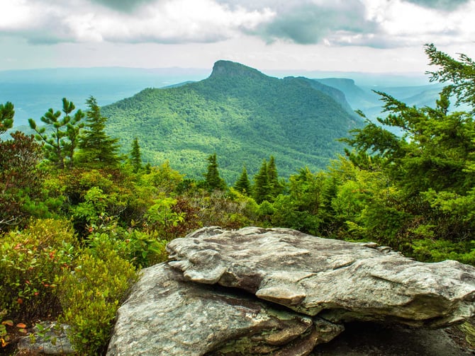Pisgah National Forest