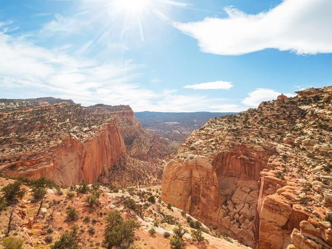 Capitol Reef National Park