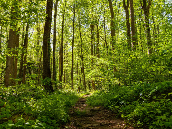 Hiking & Backpacking