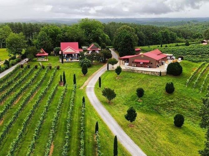 Overmountain Vineyards