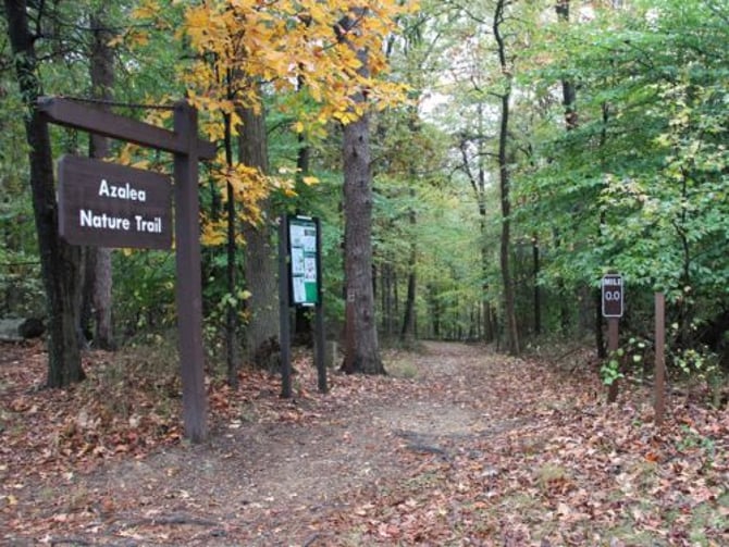 Azalea Trail