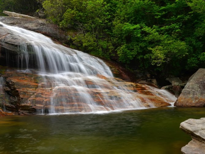 Graveyard Fields Loop Trail