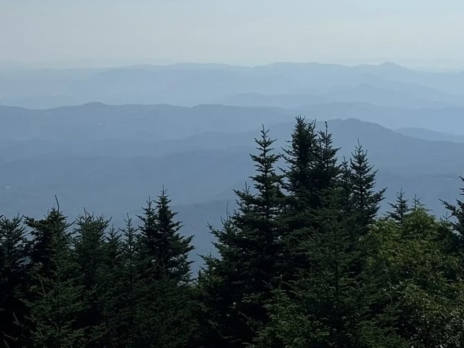 Mount Mitchell Summit Trail