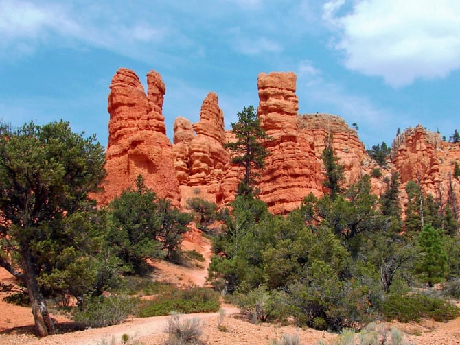 Red Canyon