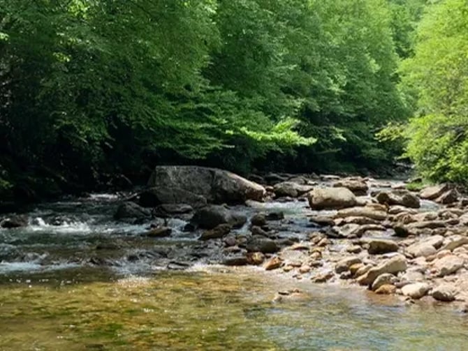 Pigeon And Little East Fork Rivers